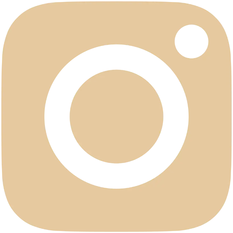 logo instagram